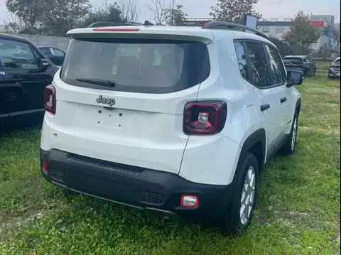 Used JEEP RENEGADE Hybrid 2024 Ad 