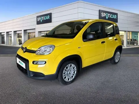 Annonce FIAT PANDA Essence 2024 d'occasion 