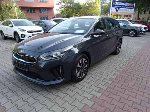 Annonce KIA CEED Hybride 2021 d'occasion 