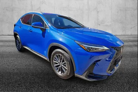 Used LEXUS NX Hybrid 2023 Ad 