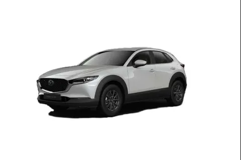 Used MAZDA CX-30 Hybrid 2023 Ad 