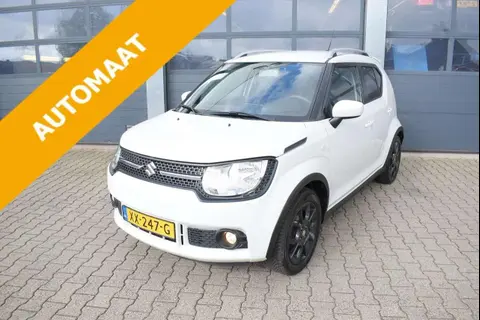 Used SUZUKI IGNIS Petrol 2019 Ad 