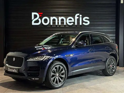 Used JAGUAR F-PACE Diesel 2016 Ad 