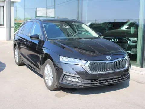 Used SKODA OCTAVIA Petrol 2021 Ad 