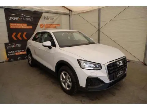 Annonce AUDI Q2 Essence 2023 d'occasion Belgique