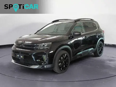 Annonce CITROEN C5 AIRCROSS Hybride 2024 d'occasion 