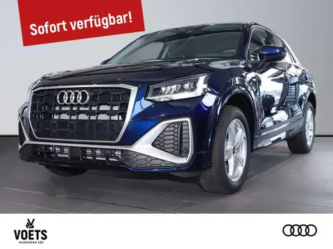 Annonce AUDI Q2 Essence 2024 d'occasion 