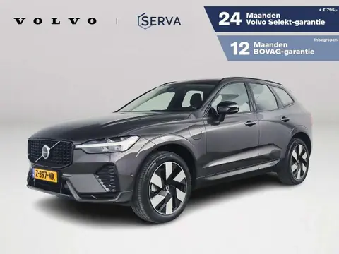 Used VOLVO XC60 Hybrid 2024 Ad 