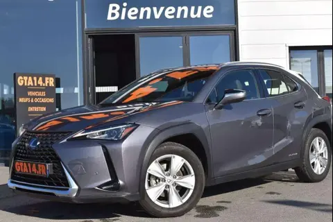 Used LEXUS UX Hybrid 2019 Ad 