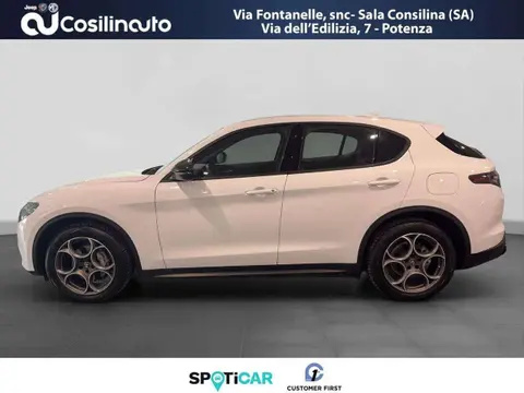 Used ALFA ROMEO STELVIO Diesel 2023 Ad 