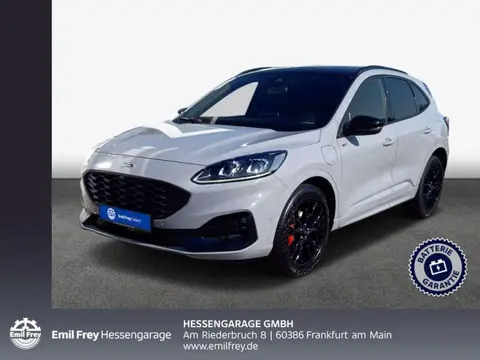 Annonce FORD KUGA Hybride 2024 d'occasion 