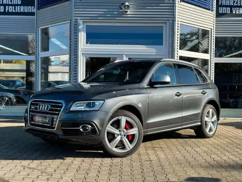 Used AUDI SQ5 Petrol 2017 Ad 