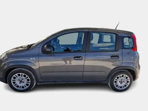 Used FIAT PANDA Hybrid 2023 Ad 