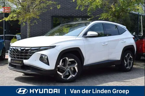 Used HYUNDAI TUCSON Hybrid 2021 Ad 