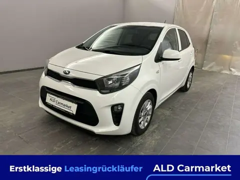 Used KIA PICANTO Petrol 2019 Ad 