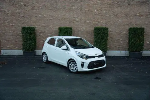 Annonce KIA PICANTO Essence 2018 d'occasion 