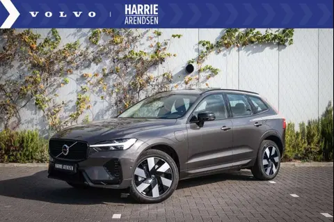 Annonce VOLVO XC60 Hybride 2024 d'occasion 