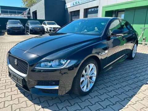 Used JAGUAR XF Diesel 2017 Ad 