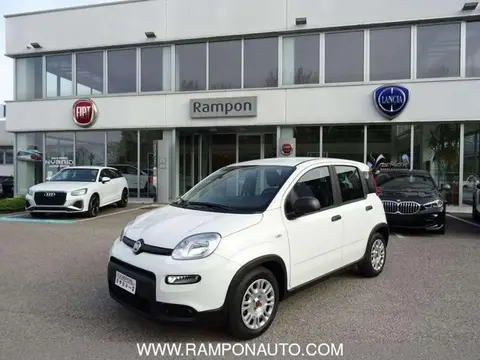 Used FIAT PANDA Hybrid 2024 Ad 