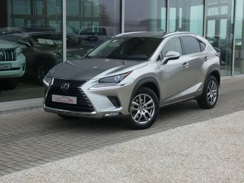 Annonce LEXUS NX Hybride 2021 d'occasion 