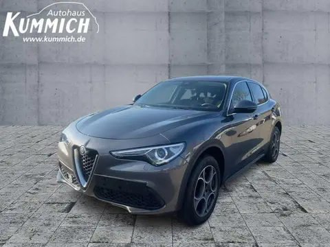 Used ALFA ROMEO STELVIO Diesel 2018 Ad 