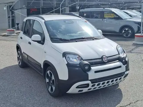 Annonce FIAT PANDA Hybride 2024 d'occasion 