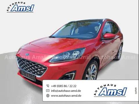 Used FORD KUGA Hybrid 2021 Ad Germany