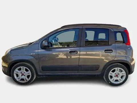 Annonce FIAT PANDA Hybride 2023 d'occasion 