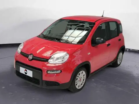 Annonce FIAT PANDA Hybride 2024 d'occasion 