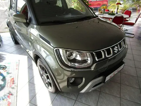 Used SUZUKI IGNIS Petrol 2023 Ad 