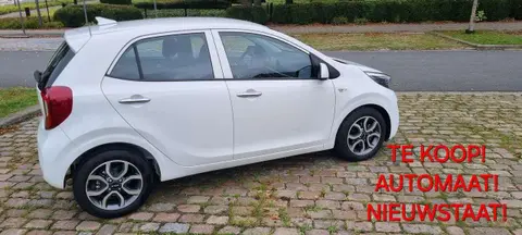 Annonce KIA PICANTO Essence 2023 d'occasion 