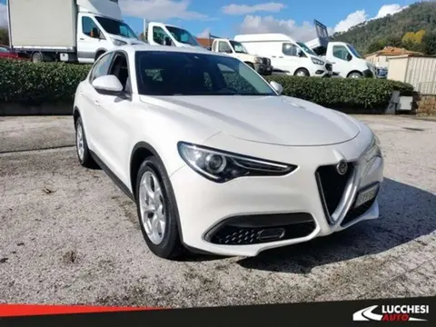 Used ALFA ROMEO STELVIO Diesel 2019 Ad 