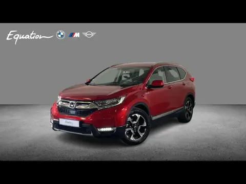 Used HONDA CR-V  2019 Ad 