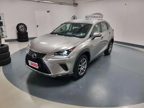 Used LEXUS NX Hybrid 2020 Ad 