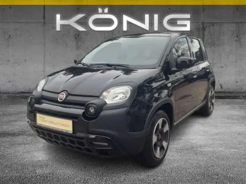 Annonce FIAT PANDA Essence 2023 d'occasion 