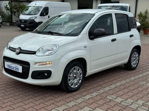 Annonce FIAT PANDA GPL 2019 d'occasion 