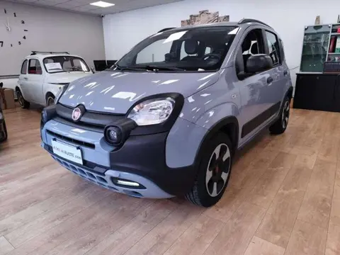 Used FIAT PANDA Hybrid 2021 Ad 