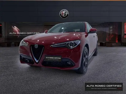 Used ALFA ROMEO STELVIO Diesel 2022 Ad 