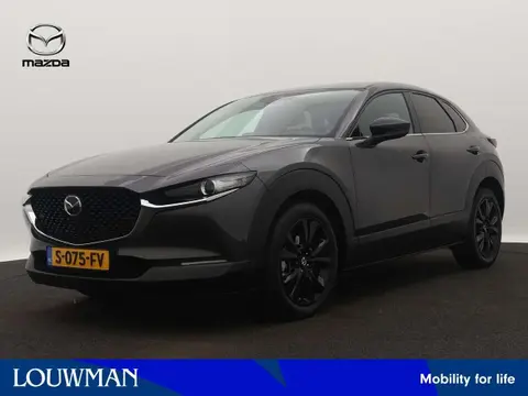 Used MAZDA CX-30 Petrol 2023 Ad 