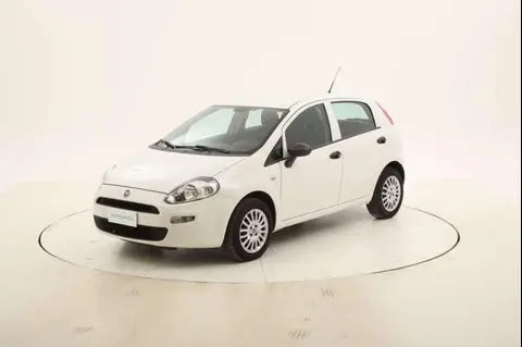 Annonce FIAT PUNTO GPL 2018 d'occasion 