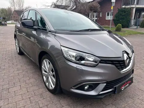 Used RENAULT SCENIC Diesel 2019 Ad 