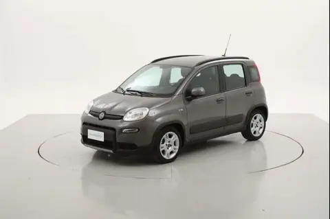 Used FIAT PANDA Hybrid 2022 Ad 