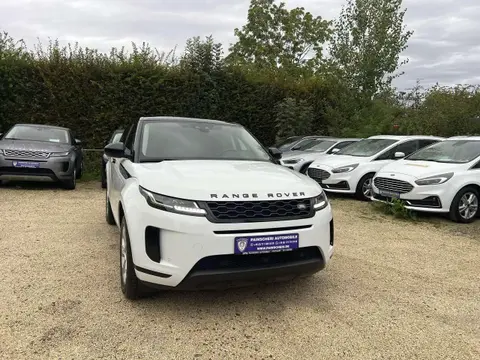 Used LAND ROVER RANGE ROVER EVOQUE Diesel 2020 Ad 