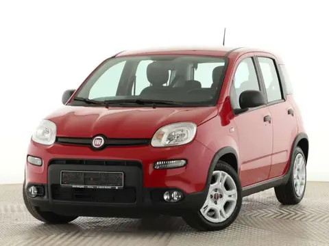 Used FIAT PANDA Hybrid 2024 Ad 