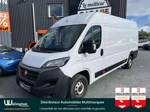 Used FIAT DUCATO Diesel 2021 Ad 