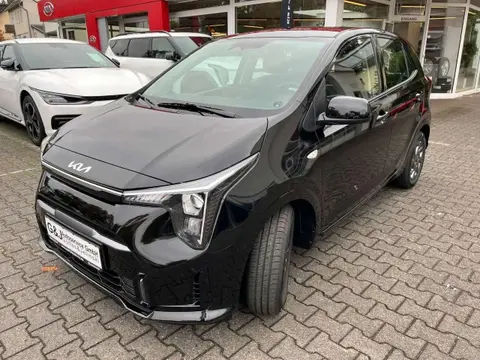 Used KIA PICANTO Petrol 2024 Ad 