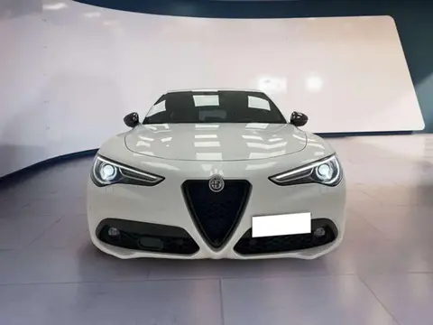 Used ALFA ROMEO STELVIO Diesel 2021 Ad 