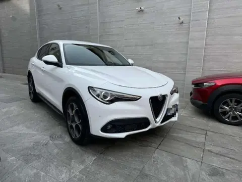 Annonce ALFA ROMEO STELVIO Diesel 2019 d'occasion 