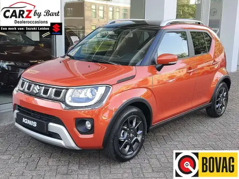 Annonce SUZUKI IGNIS Hybride 2024 d'occasion 