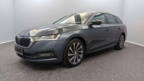 Used SKODA OCTAVIA Petrol 2021 Ad 